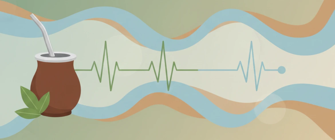 Yerba mate és vérnyomás – emeli-e a yerba mate a vérnyomást, és hogyan hat a koffein?