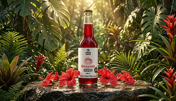 Egy új módszer az energiafeltöltésre – ismerd meg a Guayusa Pachamama Cold Brew-t!