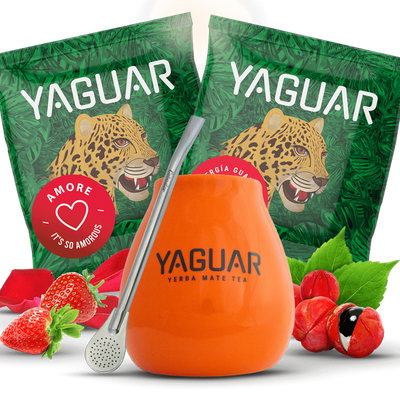 Yerba Mateo készlet + Bombilla, hogy elkezdhesse a munkát