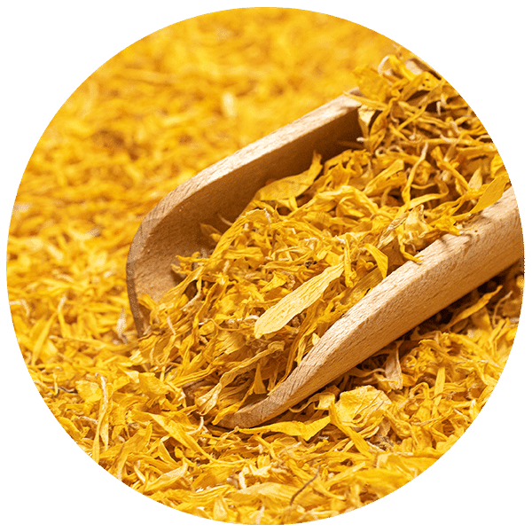 Mary Rose – Körömvirág 100 g – körömvirág virág (szirmok)