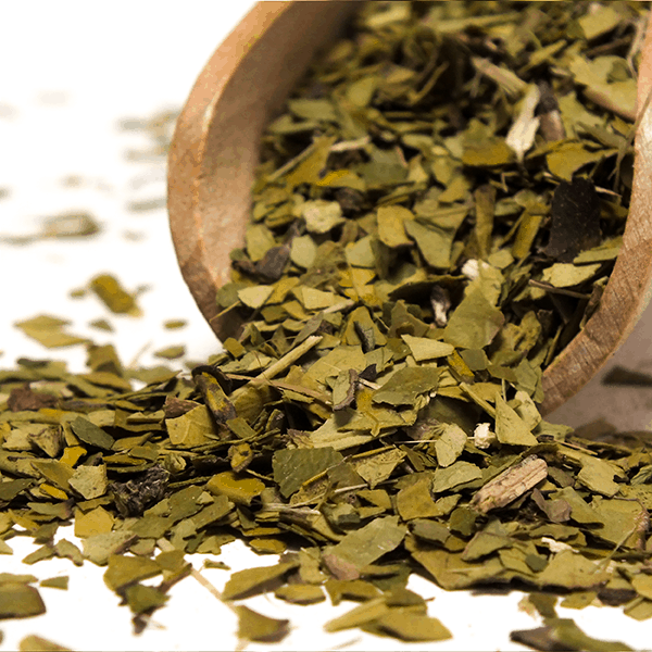 Yerbera – Fém doboz + Verde Mate Green Organica 0,5 kg