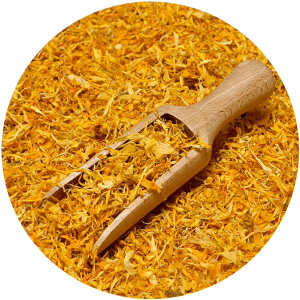 Mary Rose – Körömvirág 10 g – körömvirág virág (szirmok)