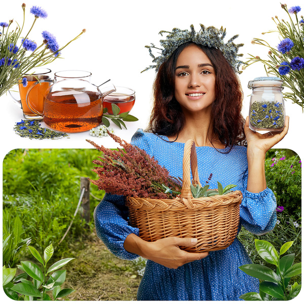 Aromantra x Mary Rose – Állatövi tea – Vízöntő (zöld tea) 50 g