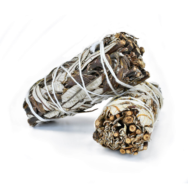 Fehér Zsálya Yerba Santa – Füstölő 20-30 g (csomag)