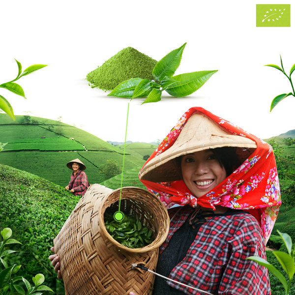 Mary Rose – Japán Matcha zöld tea (BIO) Prémium 100 g