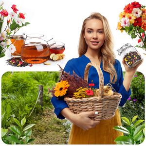 Aromantra x Mary Rose – Állatövi tea – Skorpió (fekete tea) 50 g