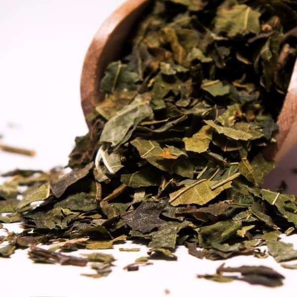 Vivarini - Eperfa (levél) 50 g