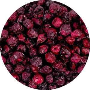 FiloLilo – Liofilizált meggy (egész, magozott) 20 g