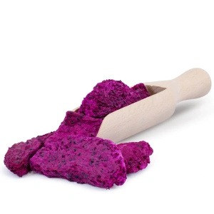 FiloLilo – Liofilizált sárkánygyümölcs (szeletek) 100 g