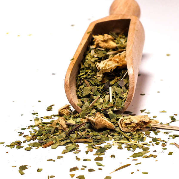 Ajándékkészlet Yerba Mate Verde Mate Cactus 0,5kg