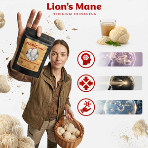 Magic Pwdr – Lion’s Mane – Süngomba 30 g