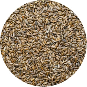 Vivarini – Máriatövis (mag) 1 kg