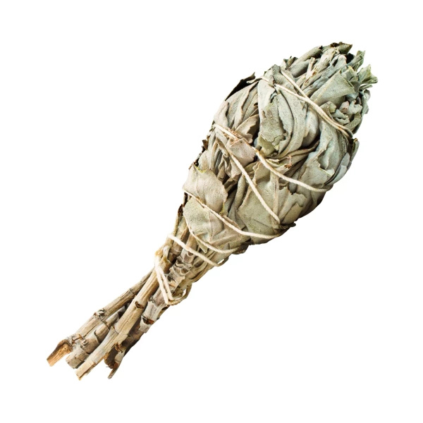 Fehér zsálya – Füstölő 15-20 g (fáklya)