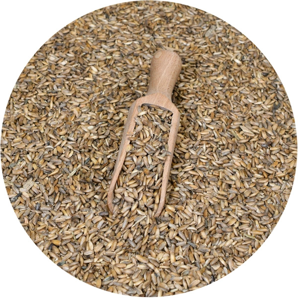 Vivarini – Máriatövis (mag) 1 kg