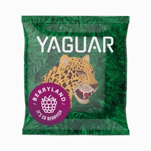 Yerba Mate induló készlet 500g Mate tök 10x50g Thermosz