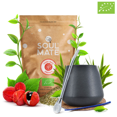 Yerba Mate Induló Készlet Bombilla Mate Tökre 500g