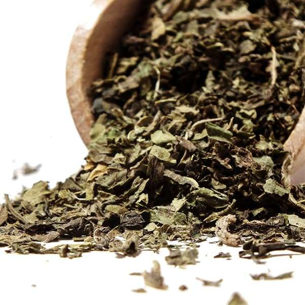 Vivarini - Szeder (levél) 20g